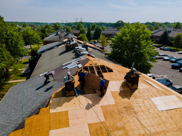 Best Flat Roof Repair Services  in Wliamsvle, IL