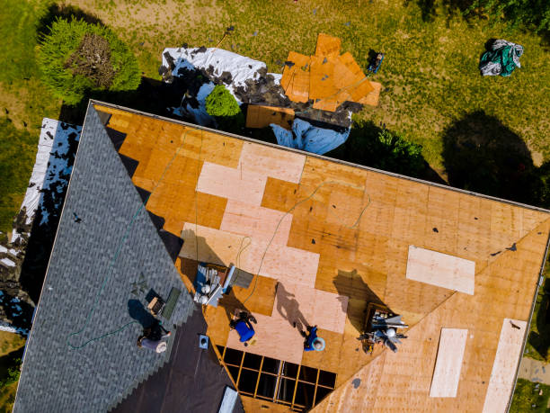 Tile Roofing Contractor in Williamsville, IL