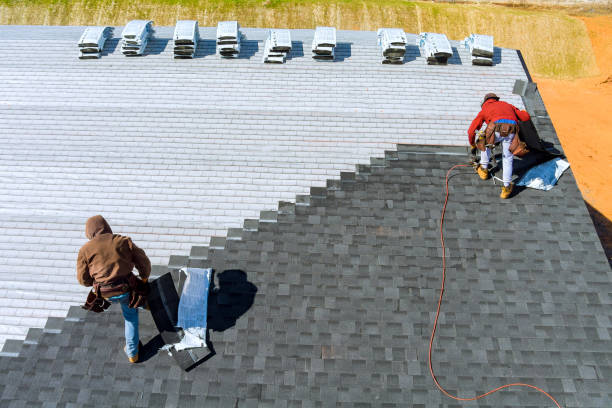 Best Residential Roofing Contractor  in Wliamsvle, IL