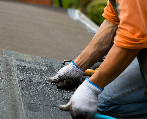 Best Metal Roofing Contractor  in Wliamsvle, IL