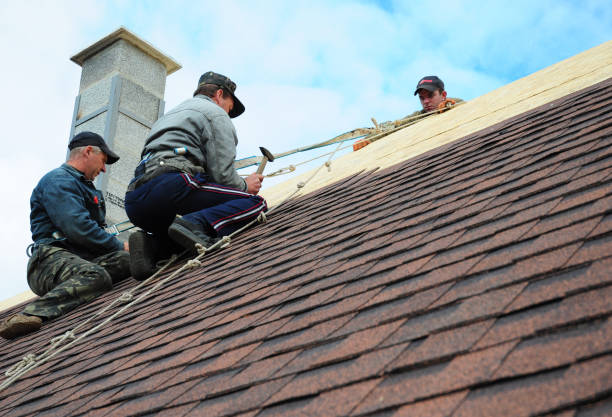 Best Roof Maintenance Services  in Wliamsvle, IL