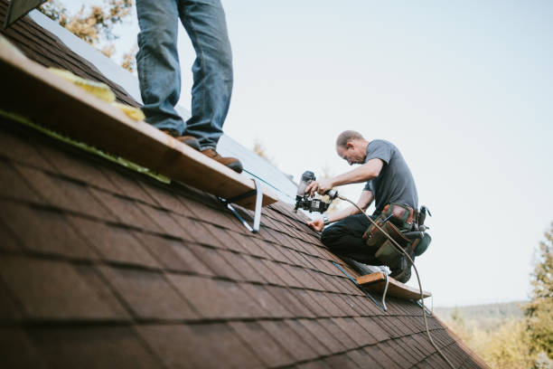 Best Roof Waterproofing Services  in Wliamsvle, IL